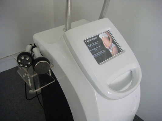 Coolsculpting Freezing Fat Cryolipolysis Machine Leg , Arms Fat Removing