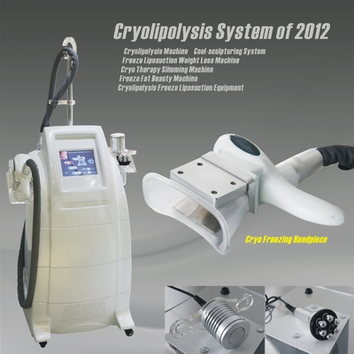 Coolsculpting Freezing Fat Cryolipolysis Machine Leg , Arms Fat Removing