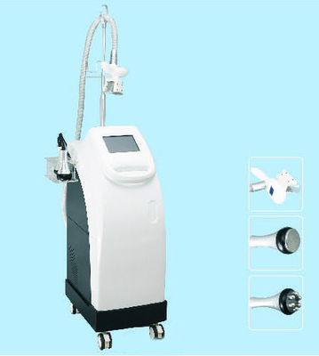 몸/얼굴 체중을 줄이기를 위한 Cryolipolysis 차가운 조각 기계를 어는 지방질