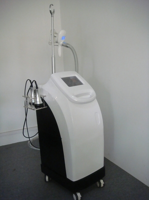 형성하는 몸, 뚱뚱한 Burining를 위한 Cryolipolysis 비 외과 기계
