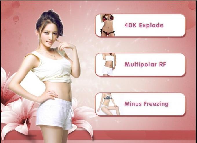 1명의 Cryolipolysis 뚱뚱한 어는 무게 분실된 아름다움 기계 공급자에 대하여 중국 3