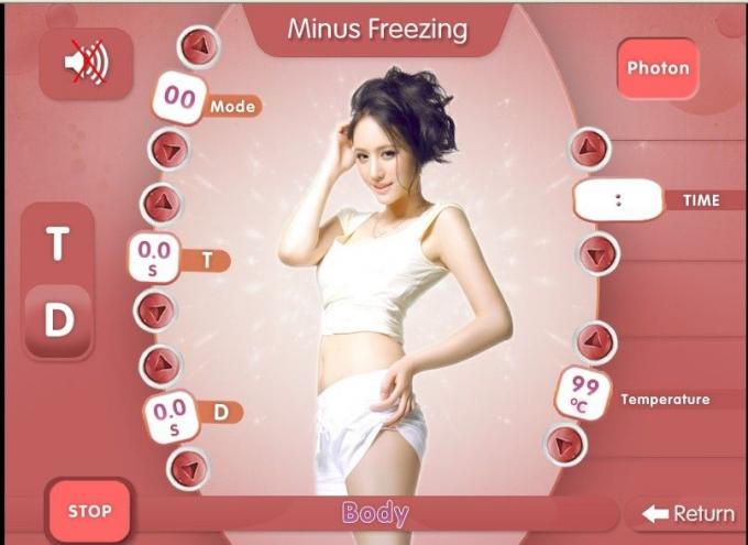 어는 중국 직업적인 Cryolipolysis 아름다움 장비 공급자를 체중을 줄이기